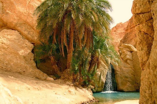 oasis-tozeur-tunez