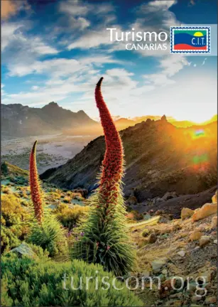 Turismo Canarias 2019
