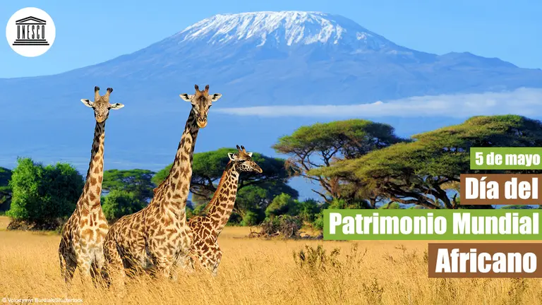 Día Mundial Patrimonio Africano