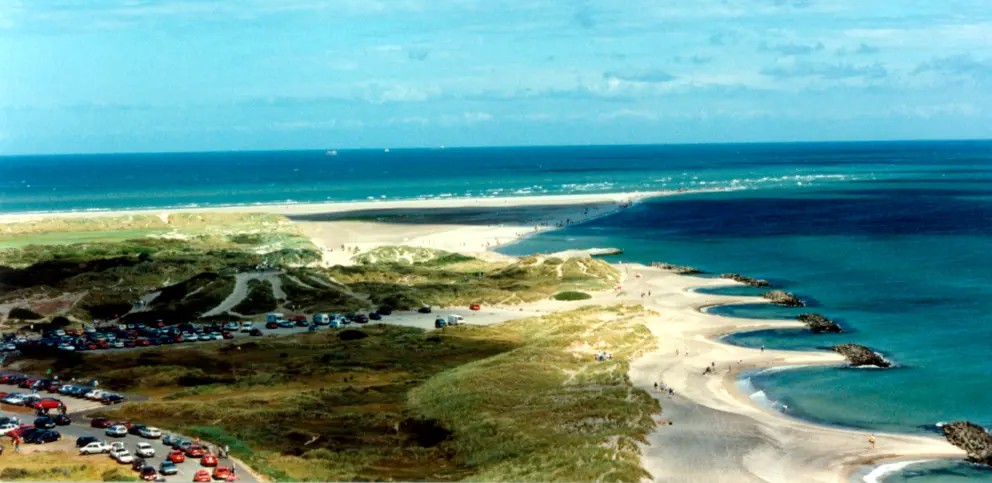 Grenenskagen