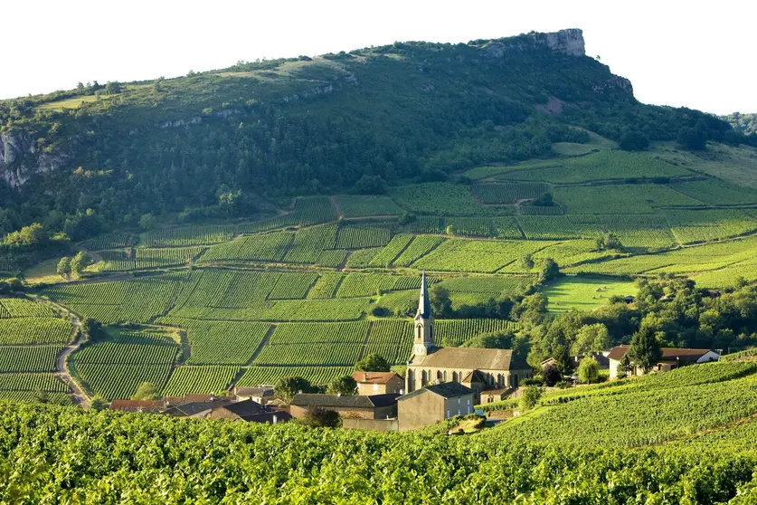 vakantie-bourgogne