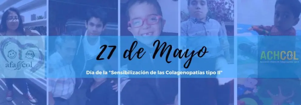 Día de Sensibilización de las Colagenopatías Tipo II
