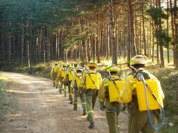 Día Mundial de los Guardas Forestales