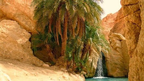 oasis-tozeur-tunez