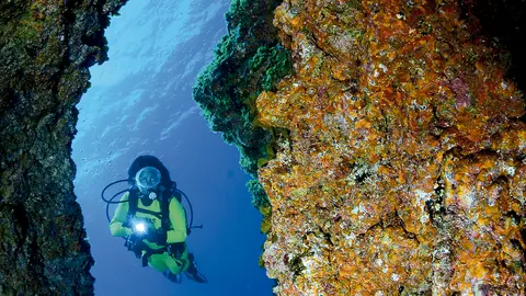 Turismo Canarias