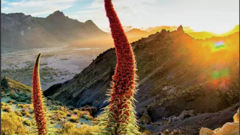 Turismo Canarias 2019