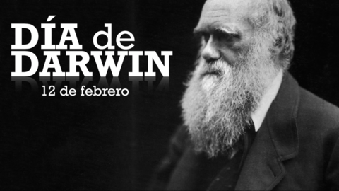 Día de Darwin