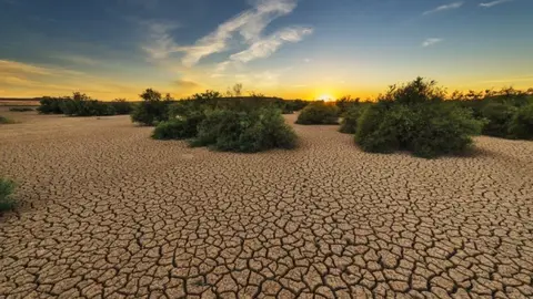 Día de Lucha contra la Desertificación y la Sequía