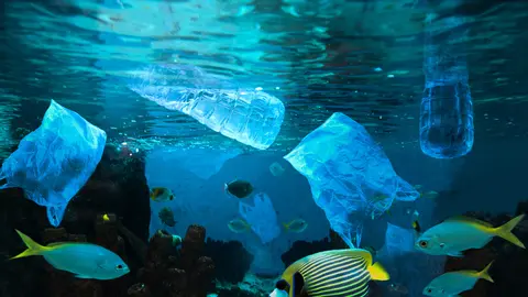 Día Internacional Libre de Bolsas de Plástico
