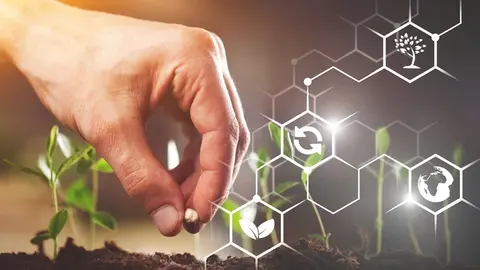 Día internacional de la Sanidad Vegetal