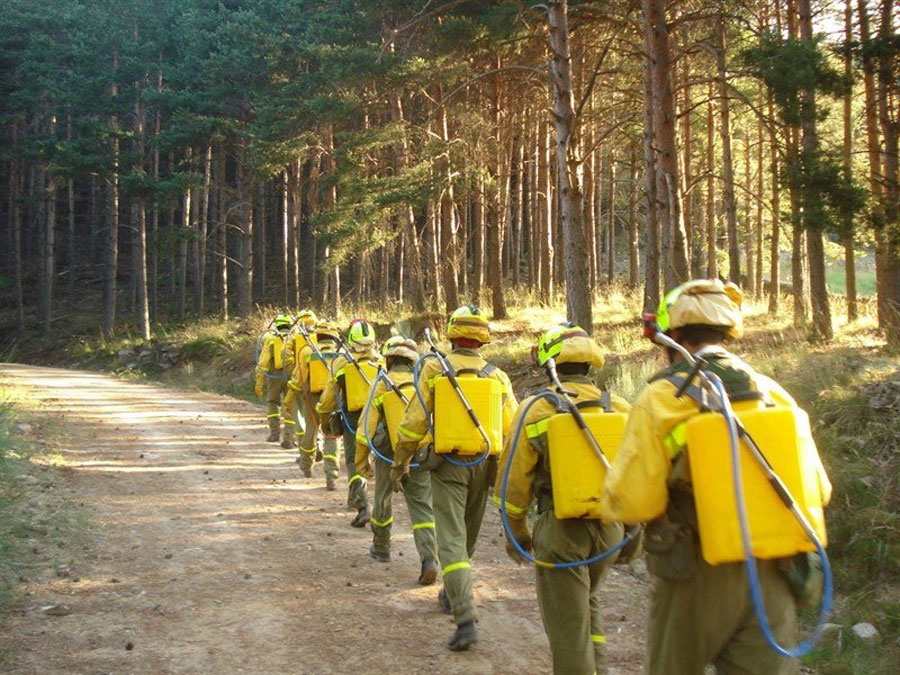 Día Mundial de los Guardas Forestales